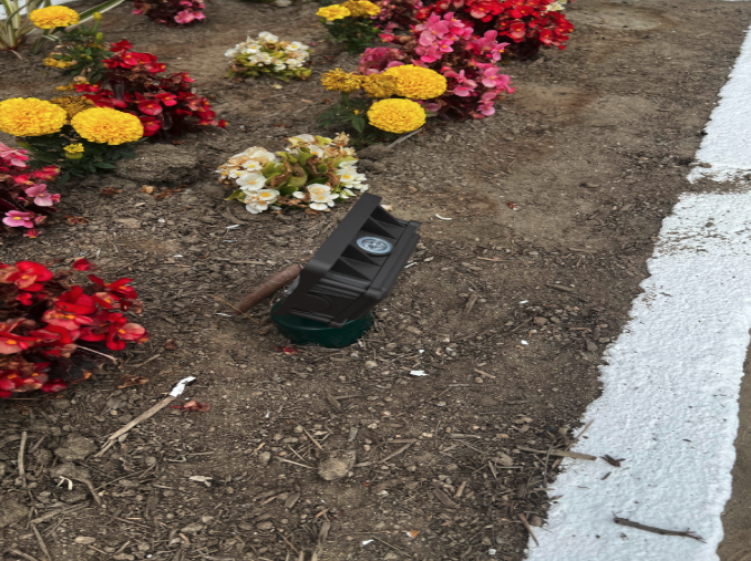 Screenshot 2026 02 01 At 8.13.13 PM